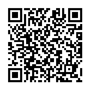 留守小队的人正在一遍一遍徒劳的呼叫深入丛林的分队二维码生成