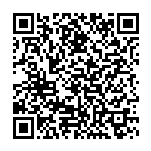 留着一头仿若火焰在燃烧的红色长发的中年男子从空中一步踏了过来二维码生成