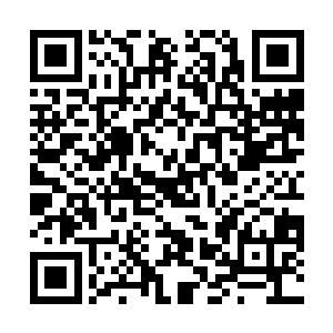 留给石巨人的只剩下这么一个字身影就已经消失不见了二维码生成