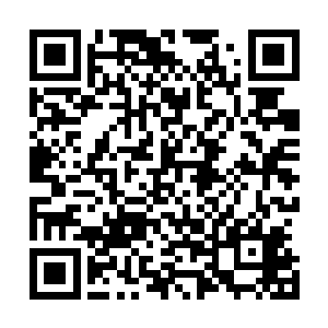 略带夸张的表演风格和优秀的配乐赢得了剧评人的一致好评二维码生成