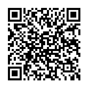 略带婴儿肥的脸颊因为沉睡浮现了一丝自然绯色二维码生成