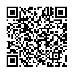 疯狂复制并传输到这些抵抗者即将归零的底层数据里去二维码生成