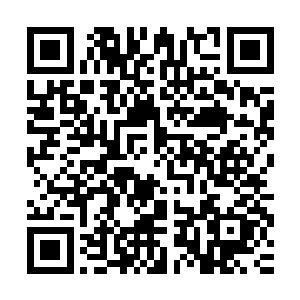疯狂无比的扑向了勾陈头顶上的那一缕试图连接天地月华的黑烟二维码生成