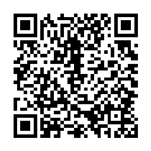 病书生独自一人坐在一边目不转睛的望着在园子里飞腾闪挪二维码生成