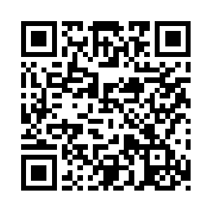 病急乱投医地从口袋里掏出小杰布的匕首二维码生成