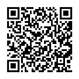 痛苦挣扎中的汪小阳好像一下子明白过来了什么二维码生成