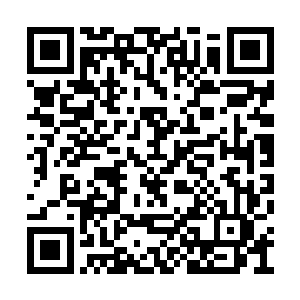 瘟疫使者可没有腐烂漩涡那样的神术可以使用了二维码生成