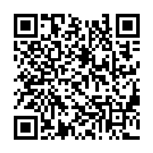 瘦下来了之后便隐隐现出了一些少年人的清朗俊逸二维码生成