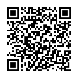 登时只见他眼睛睁得大大的生怕错过半个细节点二维码生成