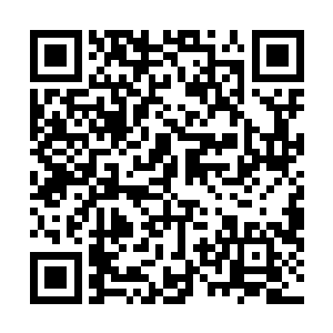 白主的修行功法能不能灭掉妖僧南波的神魂苗毅不敢肯定二维码生成
