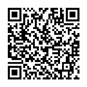 白云中这次是带了八个内门弟子一起前往紫山小村庄的二维码生成