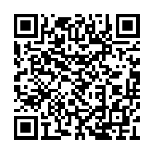 白云中随着杨元昭去了偏僻郊区一院落的地下室二维码生成