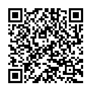 白人和接受过高等教育的混血精英处于整个食物链的最顶端二维码生成