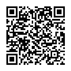 白凤和白长卿便带着她和凌风朝着雪之境地外面走去二维码生成