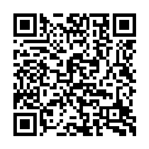 白大夫不是每隔五日会过来给我请以此请安脉吗二维码生成