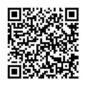 白天的时候他去小山上用自己的身体的背部去撞靠那块巨石二维码生成