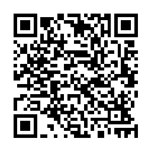 白天被夏云杰打劫了的光头强被一个急促的电话给吵醒了二维码生成