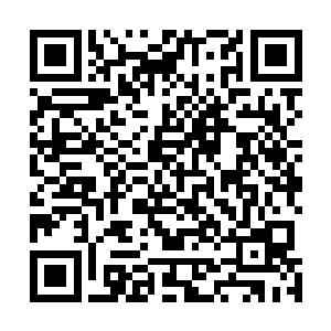 白天还看到的那棵柳树和那棵白杨树竟然消失得无影无踪二维码生成