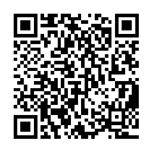 白小飞自从领悟了龙且关于生死界限与尸兄诞生之间的关系后二维码生成