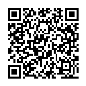 白小鹿从金牙老大如野猪和犀牛般皮糙肉厚的身体里二维码生成