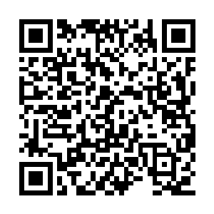 白彪大王一定会亲自率领十三部水族大军来找你二维码生成