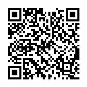 白彪的身影险之又险的在被捏爆的虚空数丈外现身二维码生成