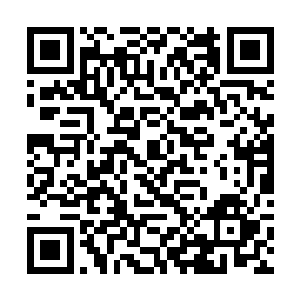 白振东不知道这个鸭舌帽男人是怎么知道自己行踪的二维码生成