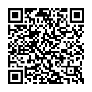 白振东只好请王建军的这些兄弟去路边摊吃烧烤二维码生成