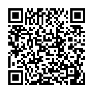 白振东将刚才缴获的匕首嗖地一下就扎到了米晓琪的脚前二维码生成
