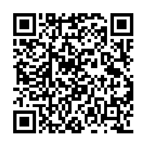 白昊和刘腾这两个小年轻在前面旁若无人的走着二维码生成