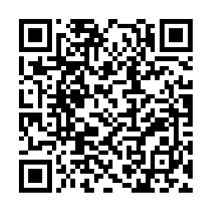 白昊曾看过格拉克罗多人关于隆克索龙的相关记载二维码生成