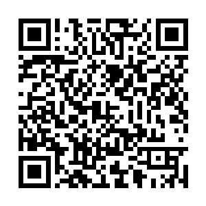 白昊的冲击波直接将原始兽的冲击波轰出一个大洞二维码生成