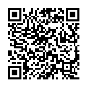 白昊的身形如鬼魅的出现在他即将砸落的地面上二维码生成