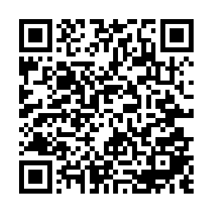 白晓和秦语然被唐天突然语重心长的劝诫给说得愣住了二维码生成
