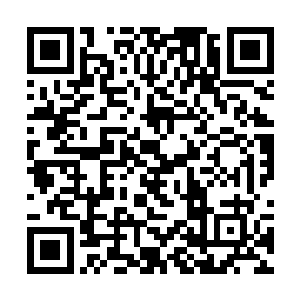 白晨和幸俩人剥皮然后把里面细腻的粉末倒入草筐中二维码生成