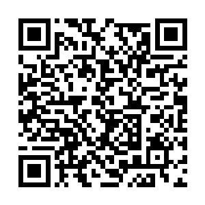 白森森的牙齿在黑暗中竟反射出一道明晃晃的寒光二维码生成