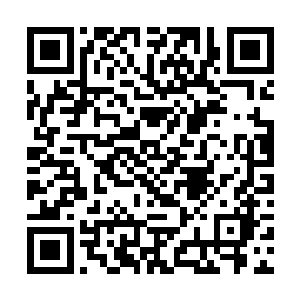 白残谱确实不会忘记那一天晚上秦洛所带给他的耻辱二维码生成