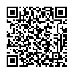 白河入海口的港口城市已经完成了最外围城墙的建筑二维码生成