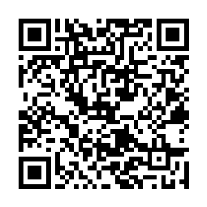 白淑倩只觉得自己的耳边传来一阵热乎乎的热气流二维码生成