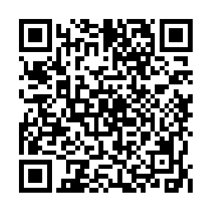 白爱晓脱得只剩下粉色的胸罩和粉色的小亵裤了二维码生成