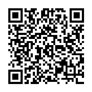 白狐却是不赞同我现在就让它替宿营地其他人解异香的提议二维码生成