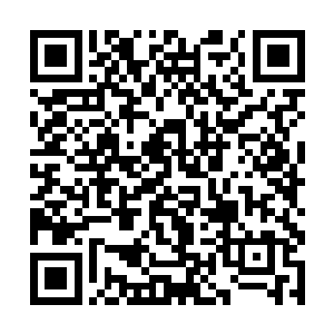 白瑾已经是不敢想象在前面的袁洪此刻是什么状况了二维码生成