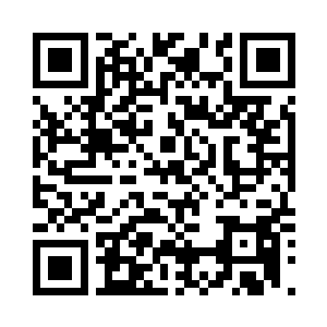 白眉老者自然也是明白了叶然的痛苦二维码生成