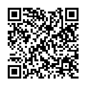 白瞳儿低头看着因越流殇下水而变得有褶皱的水面二维码生成