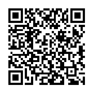 白石城的人几乎是擦着落叶城这边队伍的尾巴过去的二维码生成
