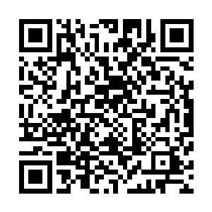 白礼完全搞不明白为什么这些人看着龙战一个人去还不着急二维码生成