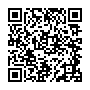 白老夫人虽然早就听苏国公说过硫亦对玉惜的态度不一般二维码生成