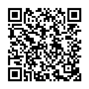 白胡子老爷爷对苏落的态度已经没有之前那么倨傲冰冷了二维码生成