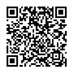 白色女子看了看十人身上红晶打造的天庭制式战甲二维码生成