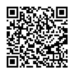 白色的半透明的薄纱上面织着若隐若现的雪莲花样二维码生成